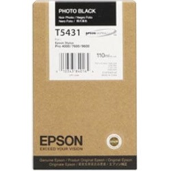 Epson tinta T543100 photo black  (lejárt szavatosságú termék)