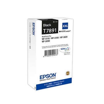 Epson tinta T7891 black, 4K