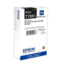 Epson tinta T7891 black, 4K
